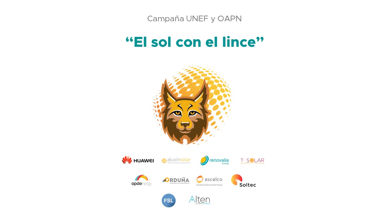 El sol con el Lince