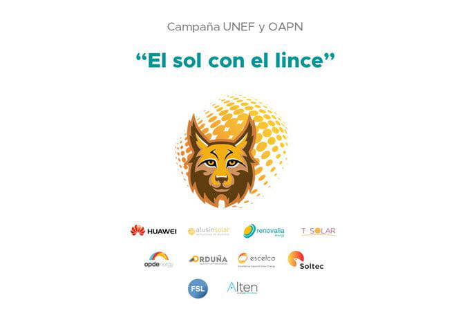 El sol con el Lince