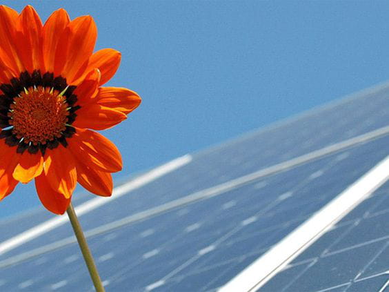 UNEF lanza la IV Edición del concurso Photovoltaica para dar a conocer los altos estándares de integración ambiental de los proyectos de energía solar