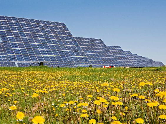 Satisfacción del sector fotovoltaico: el número de proyectos aprobados permite avanzar en la línea de consecución del PNIEC