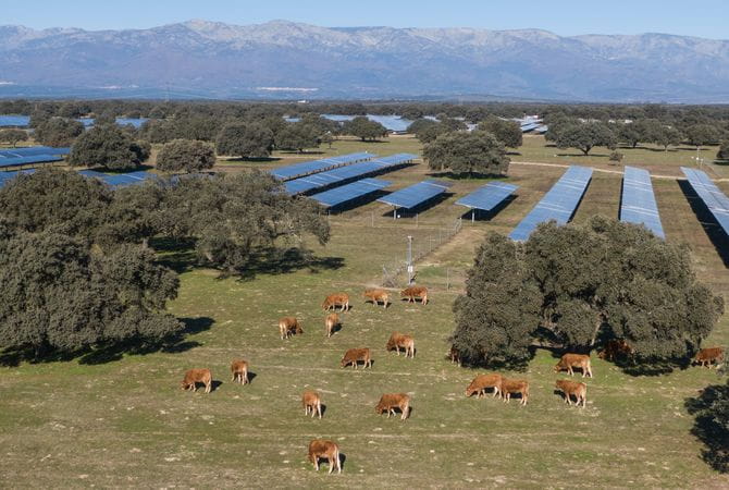 UNEF otorga el Sello de Excelencia en Sostenibilidad a la planta fotovoltaica Talayuela II de Statkraft, en Cáceres